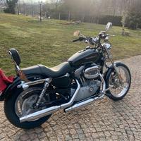 Sportster 883 custom