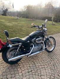 Sportster 883 custom