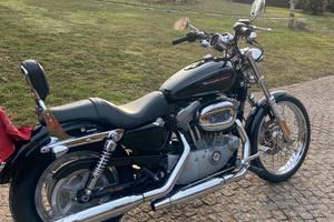 Sportster 883 custom