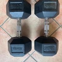 Coppia manubri dumbbell esagonali 20KG