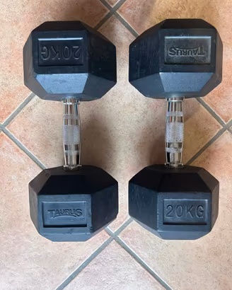 Coppia manubri dumbbell esagonali 20KG