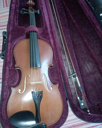 violino 