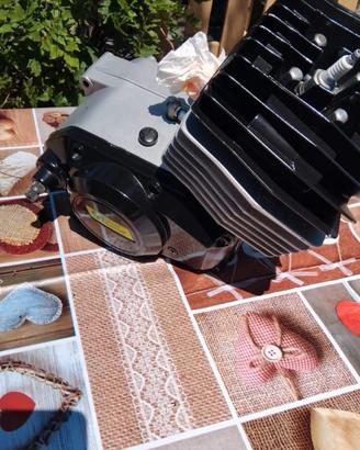 motore  minarelli p6 44x48 Gilardoni 3