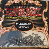 Ernie Ball Pickguard Screws (viti per battipenna)
