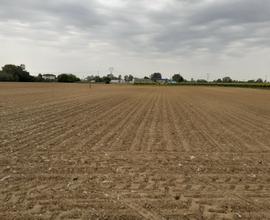 Terreno Agricolo Portogruaro/Pramaggiore