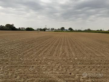 Terreno Agricolo Portogruaro/Pramaggiore