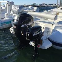 Mercury 115 HP 4 tempi (2011) – 496 ore
