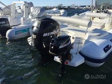 Mercury 115 HP 4 tempi (2011) – 496 ore