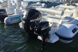Mercury 115 HP 4 tempi (2011) – 496 ore
