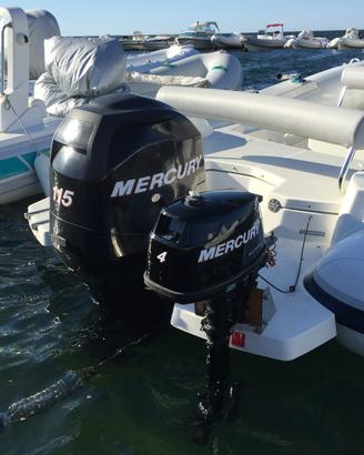 Mercury 115 HP 4 tempi (2011) – 496 ore