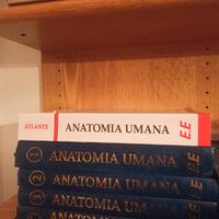 Libri di anatomia Anastasi