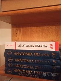 Libri di anatomia Anastasi