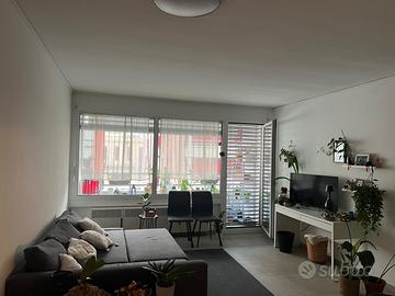 Appartamento 2° piano con terrazzo - chiasso