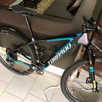 Mtb carbonio top gamma
