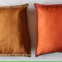 N. 2 cuscini d'arredamento