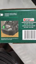 caricabatterie parkside x20V