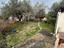 Immagine 25
