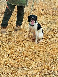 Breton