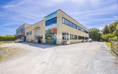 Capannone a Sant'Elpidio a Mare 5 locali