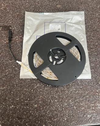 Striscia a led da 5metri 12volt