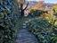 Immagine 11