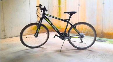 Bicicletta da ragazzo 