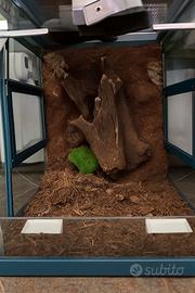 TERRARIO CON SFONDO 3D