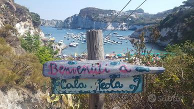 Dal 2 al 9 agosto a Ponza
