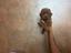 Immagine 4