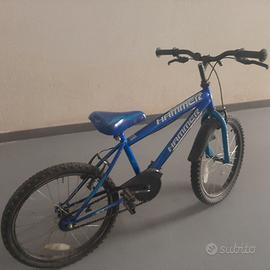 Montenbike 20 pollici