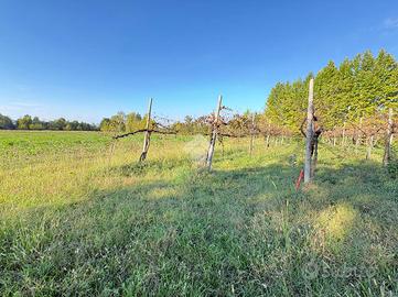 TER. AGRICOLO A VIGODARZERE