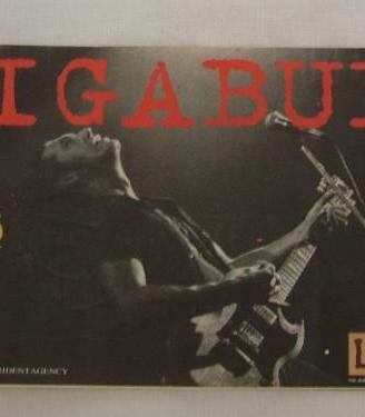 Biglietto Concerto Ligabue 1996 da collezione