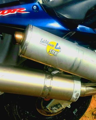 CBR 900 terminale 