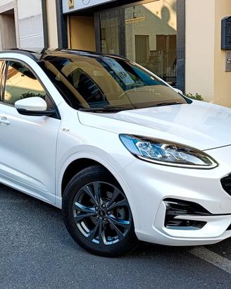 Ford Kuga 1.5 EcoBoost 150 CV 2WD ST-Line Tetto Pa