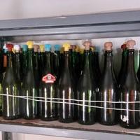 bottiglie vetro 0,75l