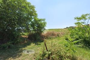 TER. AGRICOLO A ROSETO DEGLI ABRUZZI
