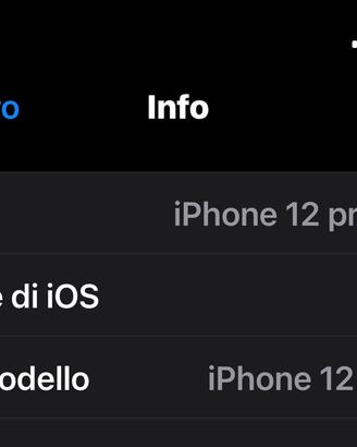 Iphone 12 PRO MAX 128 gb