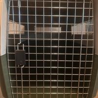 trasportino cane