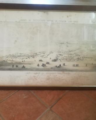 quadro,  corpo di spedizione sardo in Crimea 