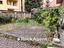 Immagine 7