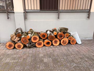 Legna da ardere betulla circa 250 kg