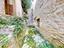 Immagine 11