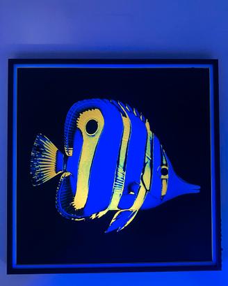 Accessori acquario marino