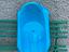 Immagine 5