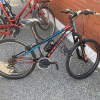Mountain bike ragazza mis.24