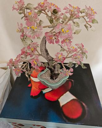 Bonsai