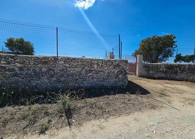Terreno via corato BA003569