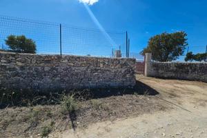 Terreno via corato BA003569