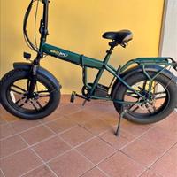 biciclette elettrica 
