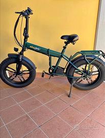 biciclette elettrica 